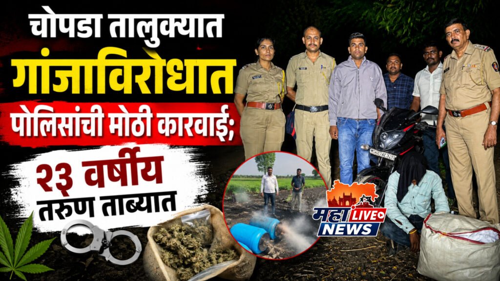 चोपडा तालुक्यात गांजाविरोधात पोलिसांची मोठी कारवाई; २३ वर्षीय तरुण ताब्यात
